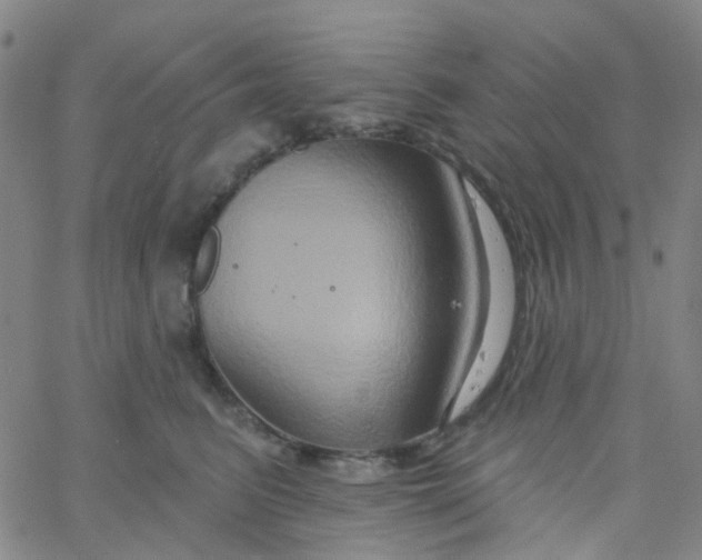 X0000061750615200512231527