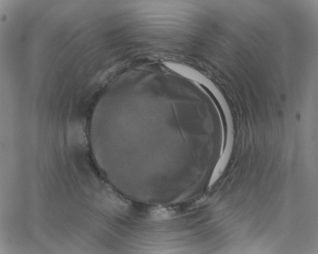 X0000061750616200512231527