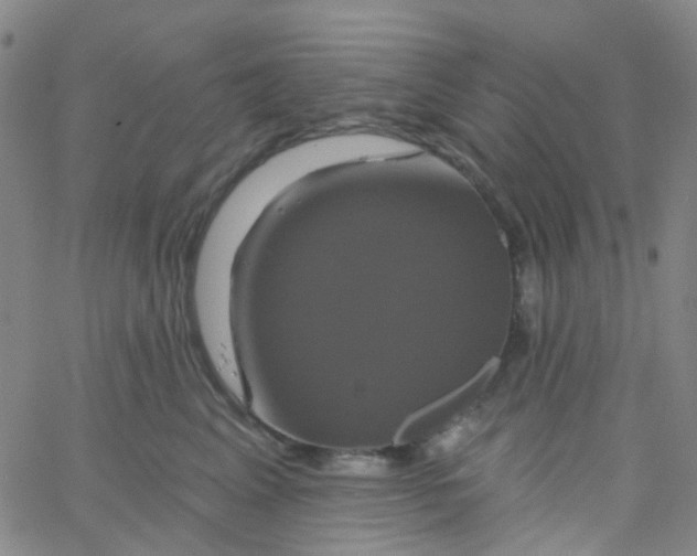 X0000061750617200512231527