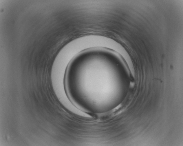 X0000061750621200512231527