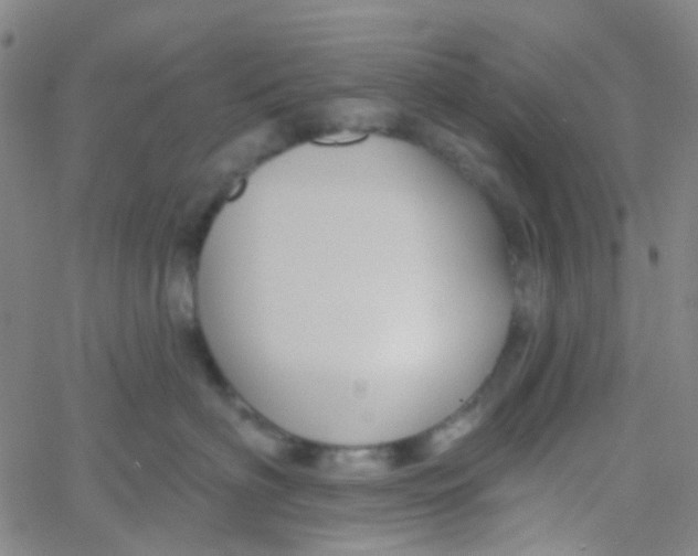 X0000061750622200512231527