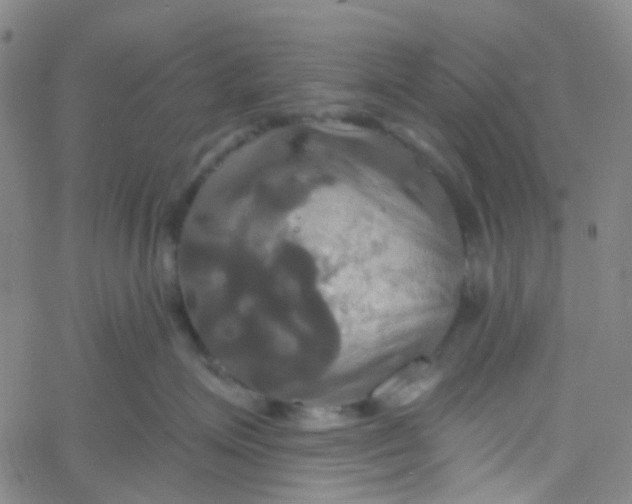 X0000061750623200512231527