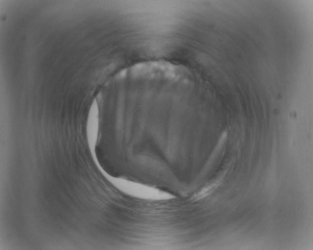 X0000061750624200512231527