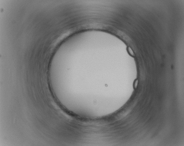 X0000061750625200512231526