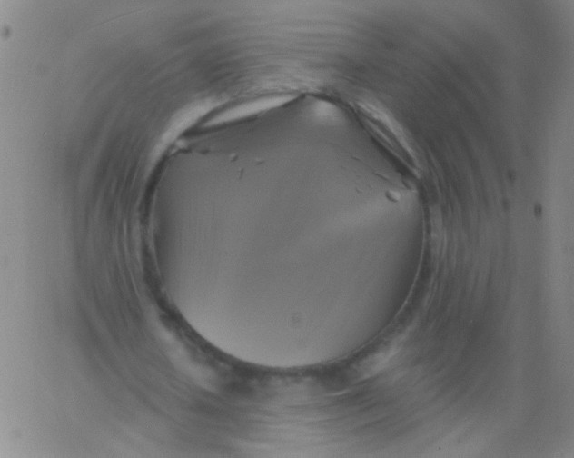 X0000061750626200512231526