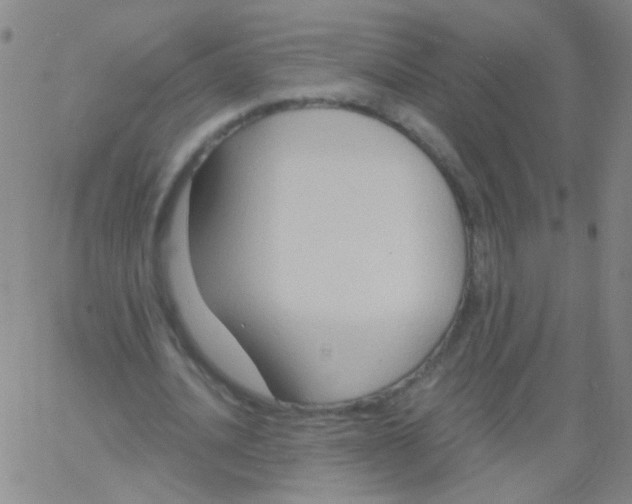 X0000061750628200512231526