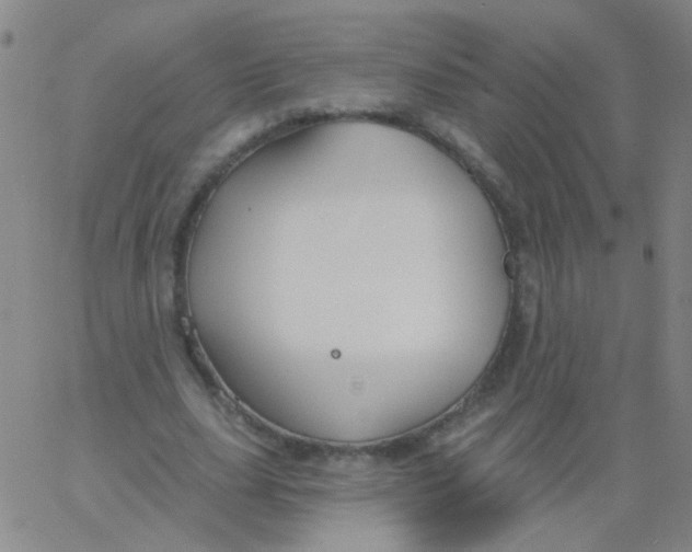 X0000061750631200512231526