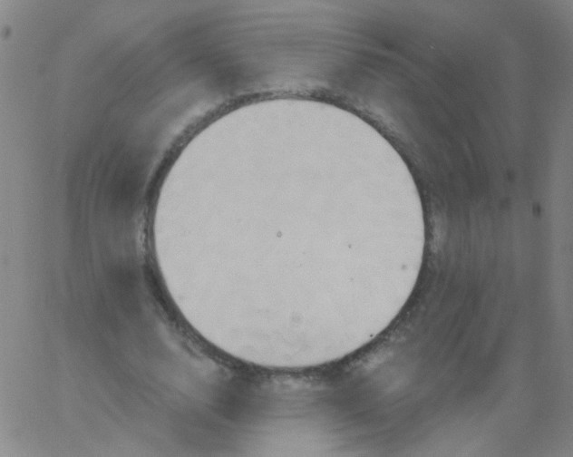 X0000061750632200512231526