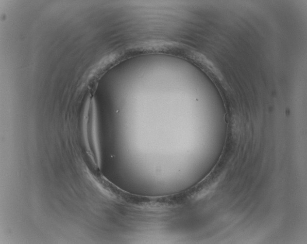 X0000061750633200512231526