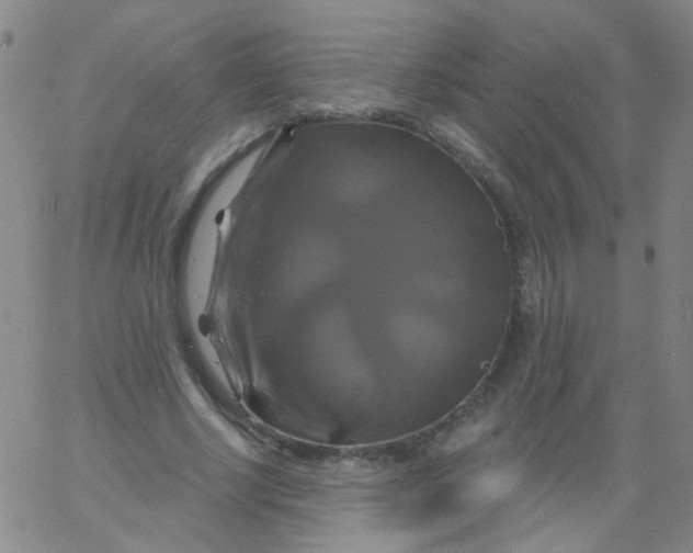 X0000061750634200512231526