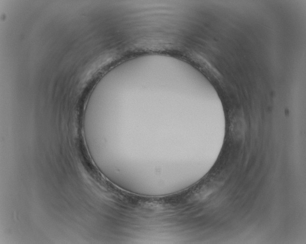 X0000061750635200512231526