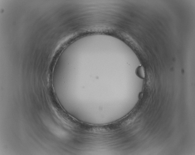 X0000061750636200512231526