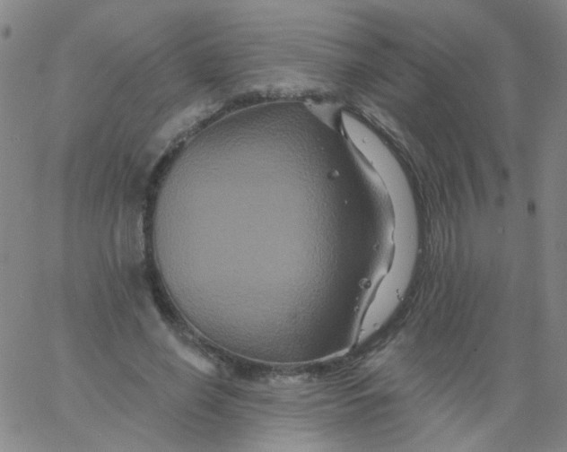 X0000061750638200512231526