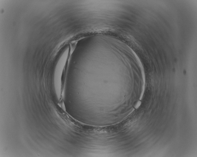 X0000061750640200512231526