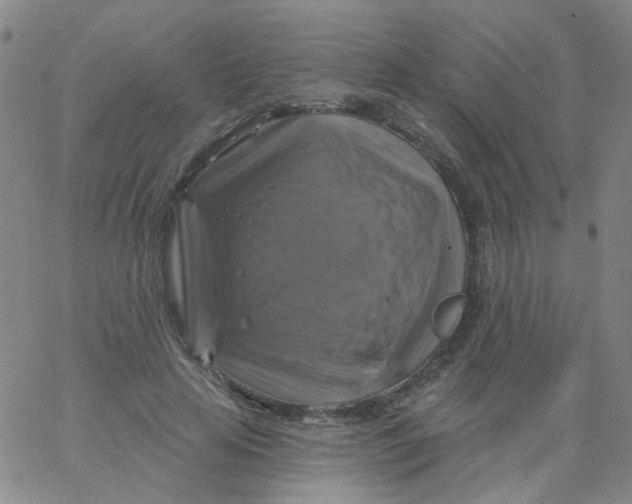 X0000061750641200512231526