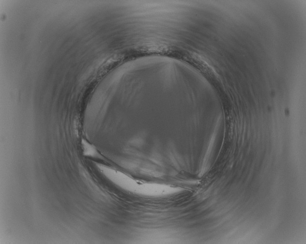 X0000061750643200512231526