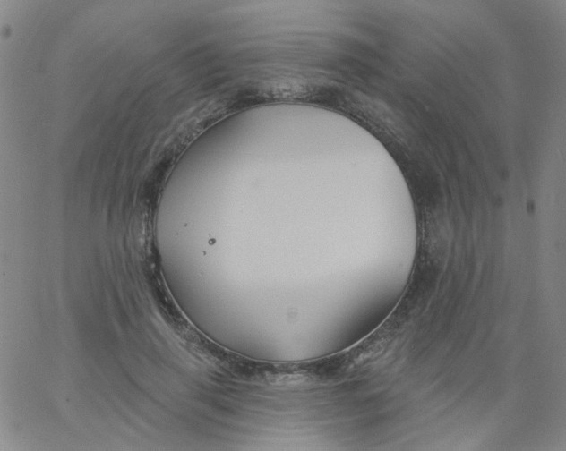 X0000061750645200512231527