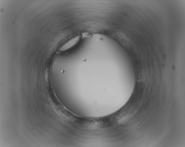 X0000061750646200512231527