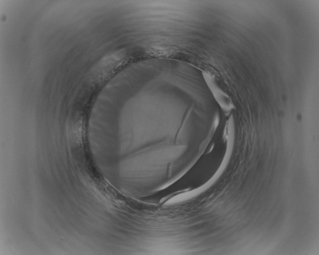 X0000061750647200512231527