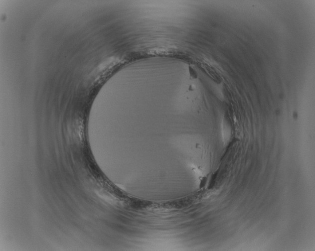 X0000061750648200512231527