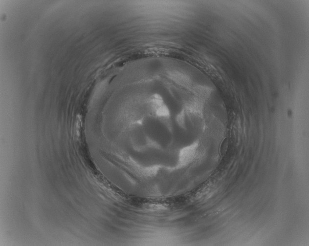 X0000061750649200512231527