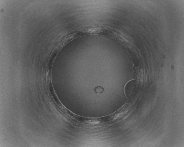 X0000061750651200512231527