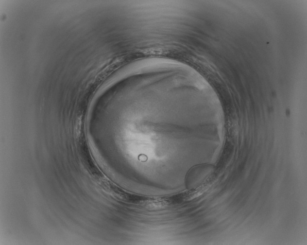 X0000061750652200512231527