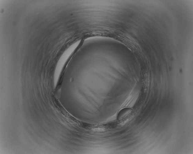 X0000061750653200512231527