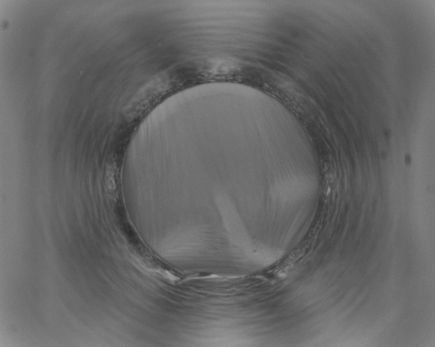 X0000061750654200512231527