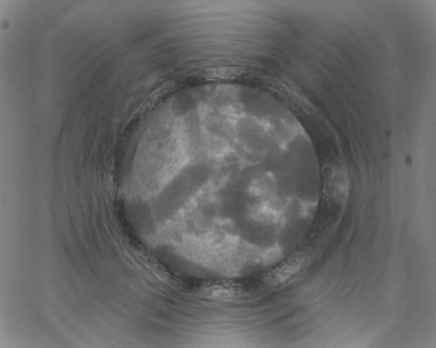 X0000061750655200512231527