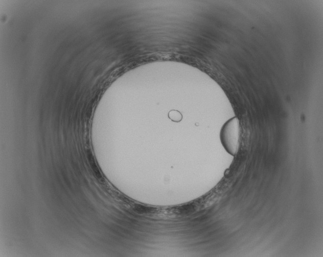 X0000061750656200512231527