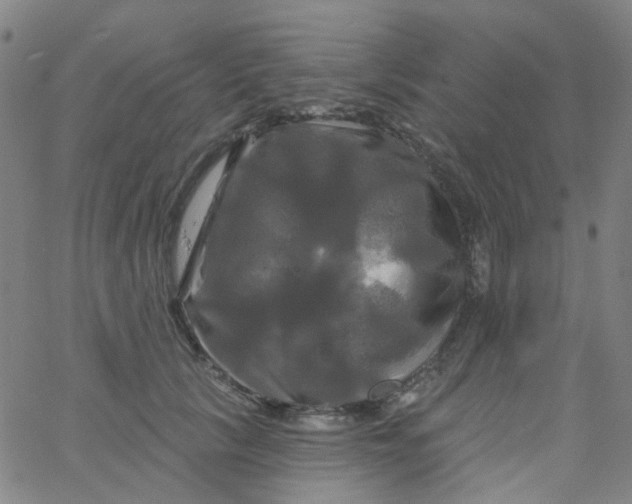 X0000061750657200512231527