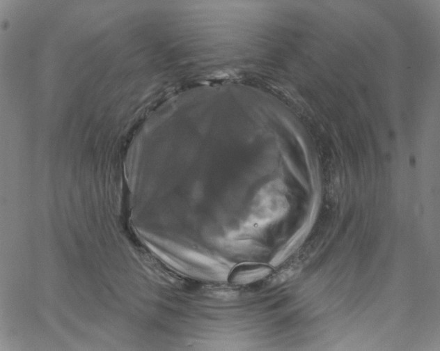 X0000061750658200512231527