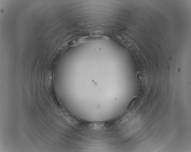 X0000061750660200512231527