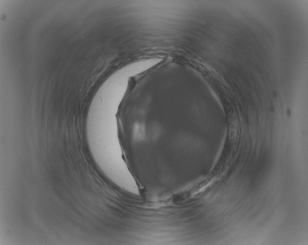 X0000061750661200512231527