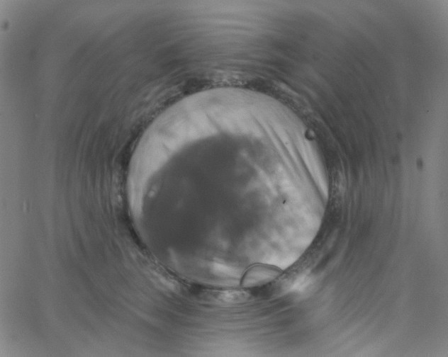 X0000061750663200512231527