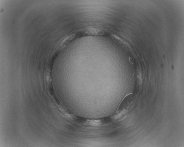 X0000061750665200512231527