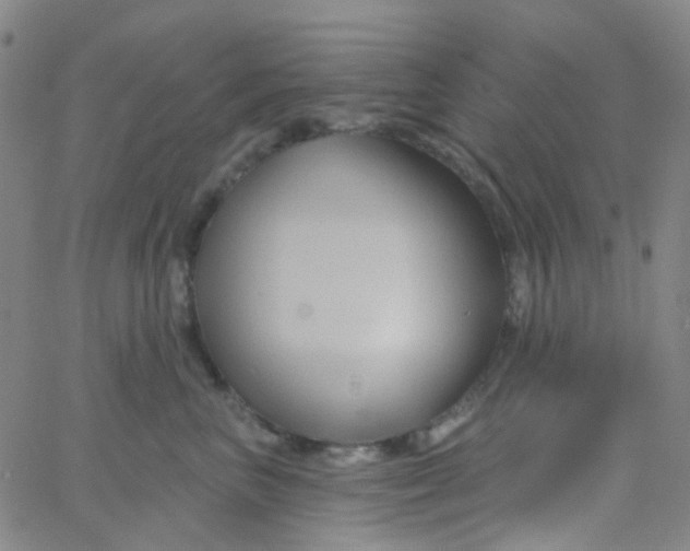 X0000061750667200512231527