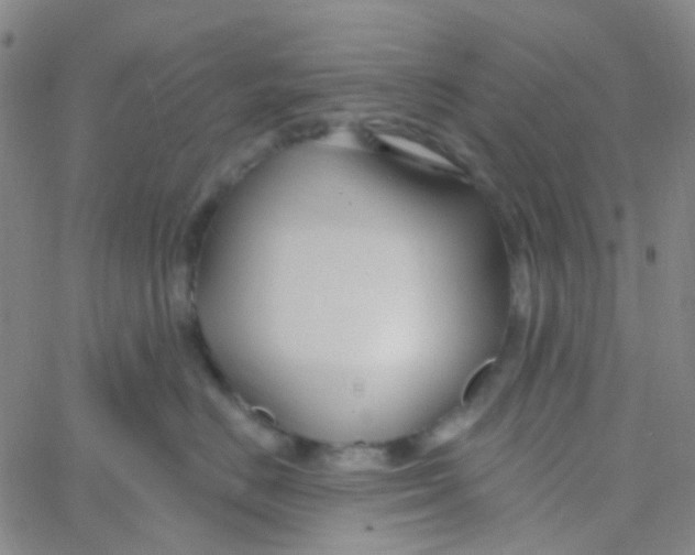 X0000061750670200512231527