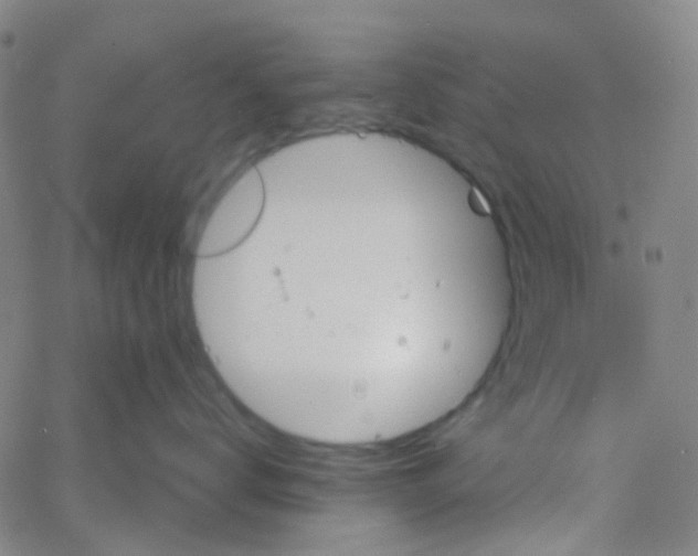 X0000061750672200512231527