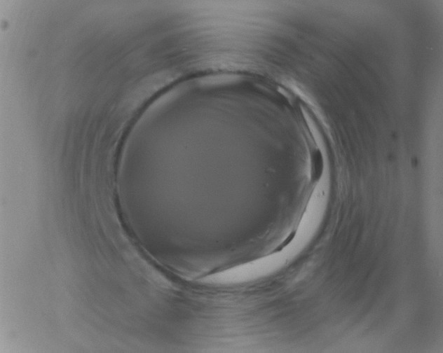 X0000061750673200512231526