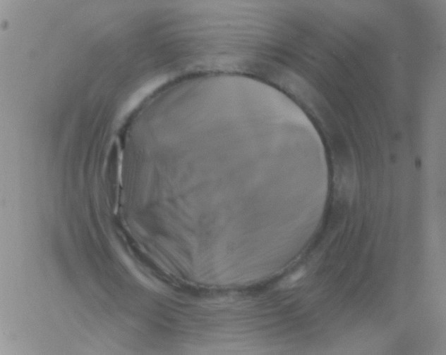 X0000061750674200512231526