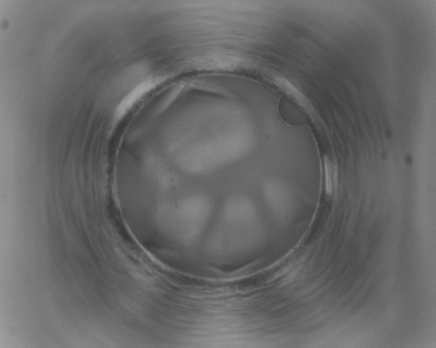 X0000061750675200512231526