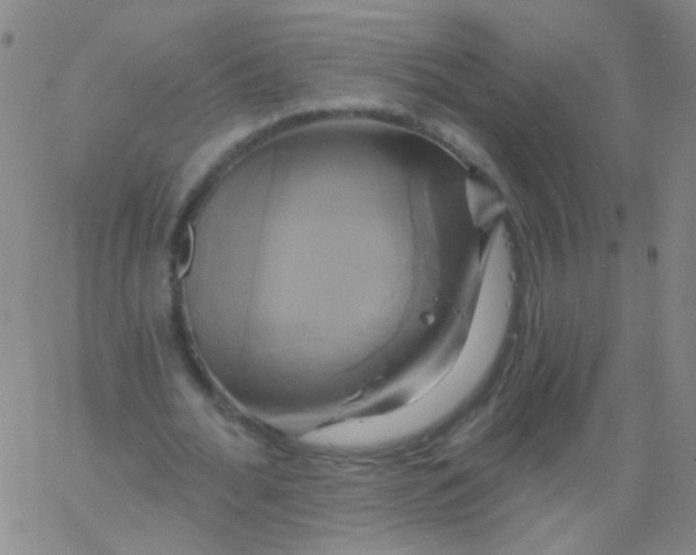 X0000061750676200512231526