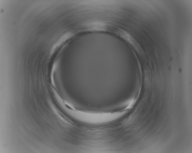 X0000061750677200512231526