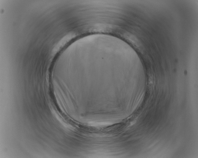 X0000061750678200512231526