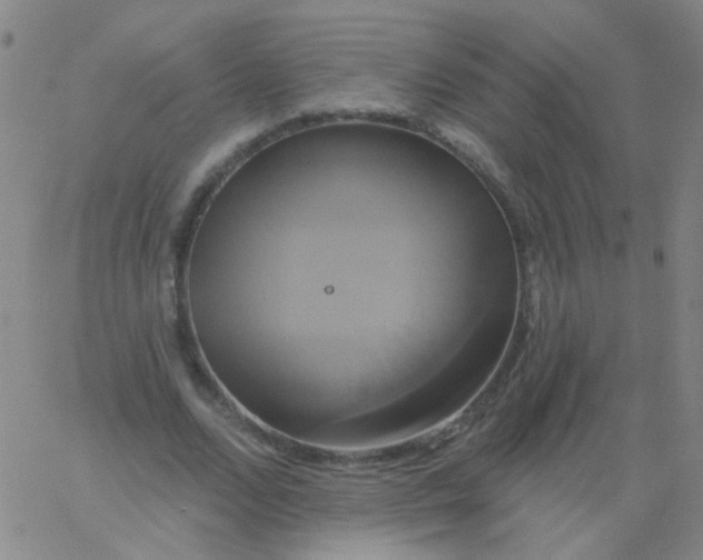 X0000061750680200512231526