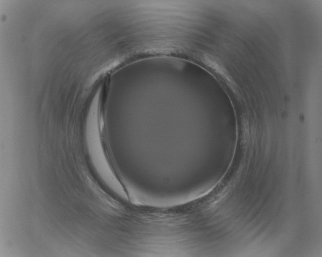 X0000061750681200512231526