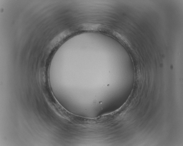 X0000061750682200512231526