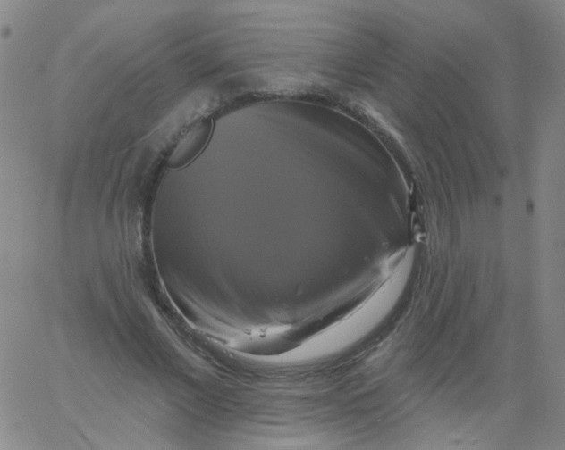 X0000061750685200512231526